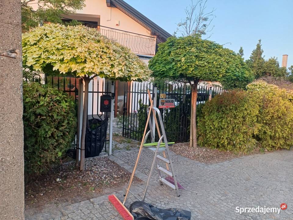 Koszenie trawy i prace ogrodowe Mszczonów