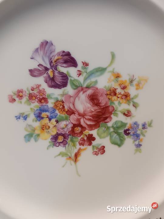 GLORIA FINE PORCELAIN Fruher Karlsbad Patera Zakopane sprzedam
