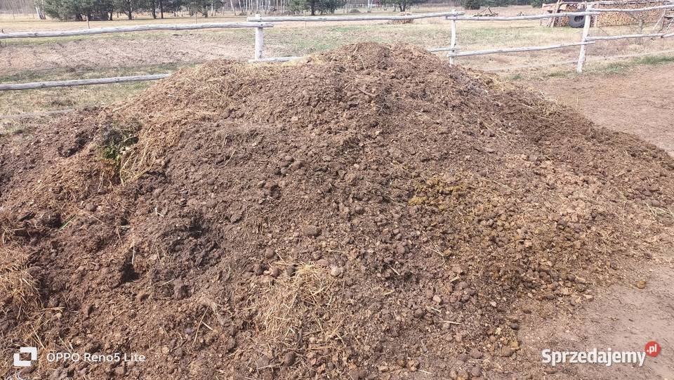 Nawóz koński Łochów