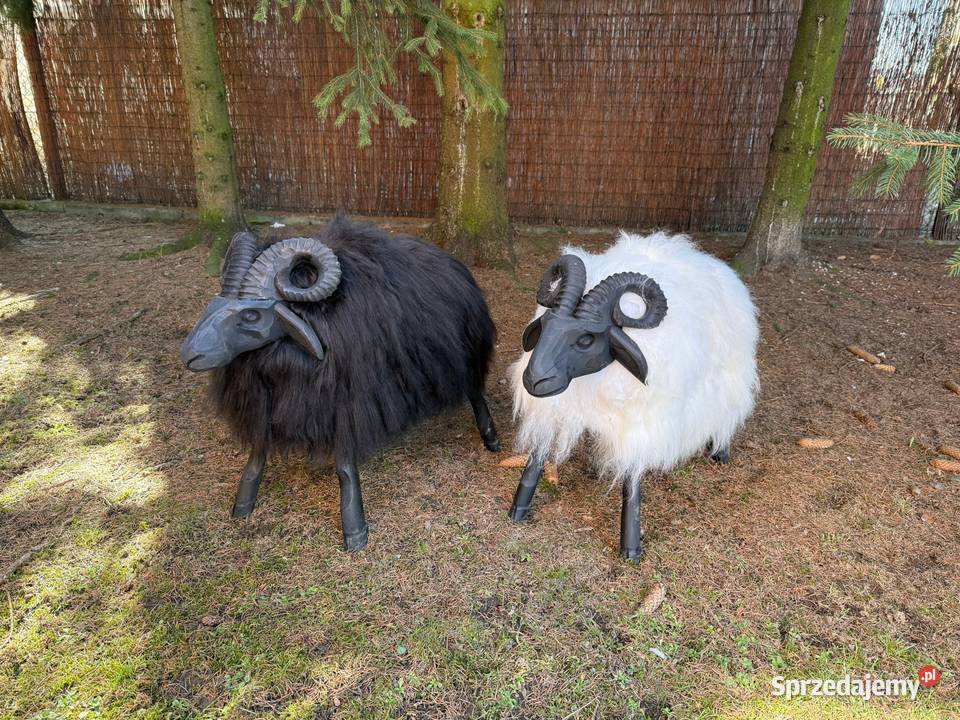 Krzesło baran dekoracyjny drewniany ze skóry małopolskie Szaflary