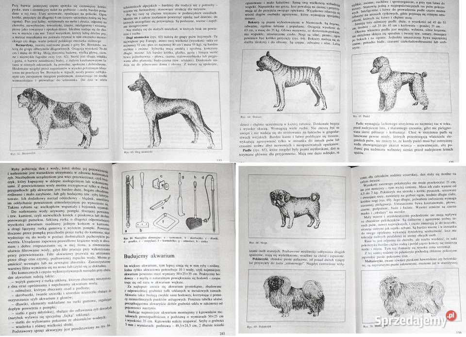 Nastolatki hodują rośliny i zwierzęta Mirosław Chełm