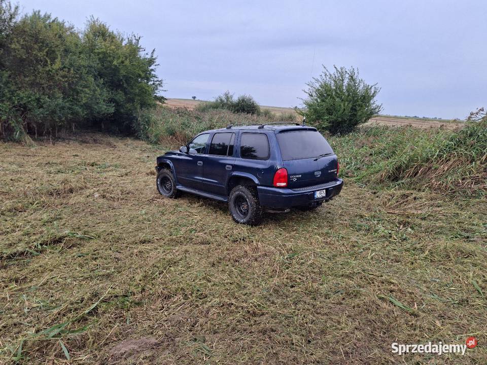 Zamienię t4 Multivana polifta Alstar coś z