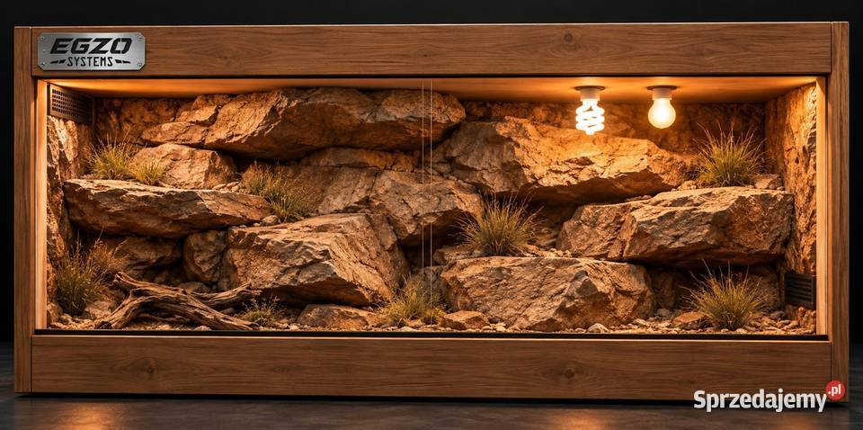 Terrarium pustynne żółwia greckiego agamy Łódź