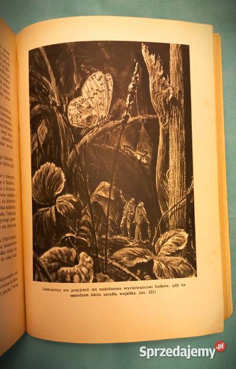 Doktor Muchołapski fantastyczne przygody w Łomianki sprzedam