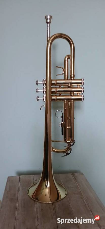 Trąbka mosiezna Kraków