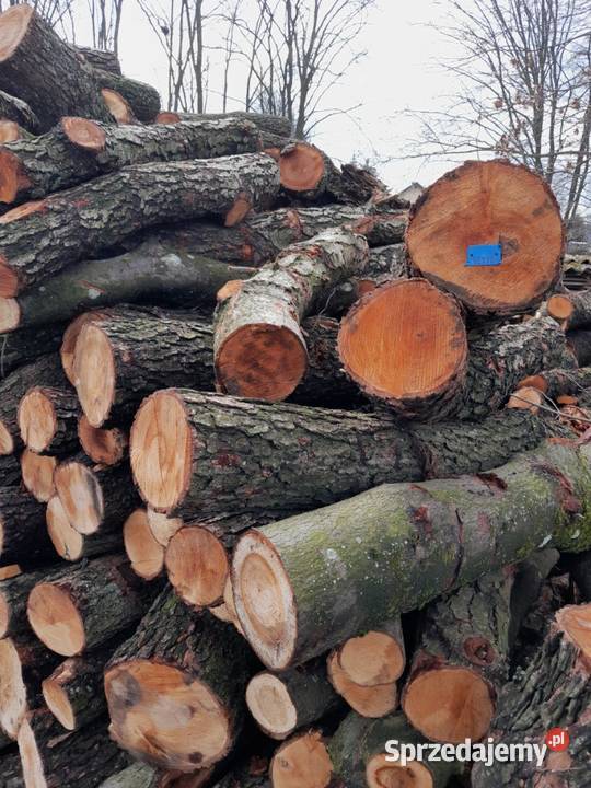 Wałki metry kłoda opał olcha mazowieckie Jadów