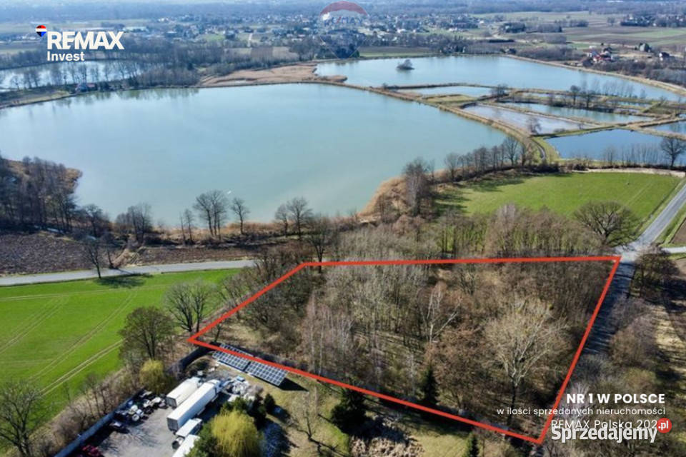 Działka usługowa Osiek kKęt