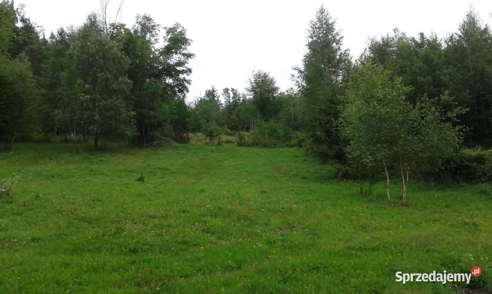 Piękna duża działka z widokiem na Babią Górę 170m Zawoja