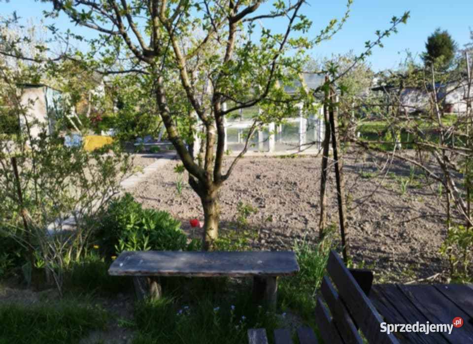 Działka Ogród Koszalin drzewa owocowe Pozostałe