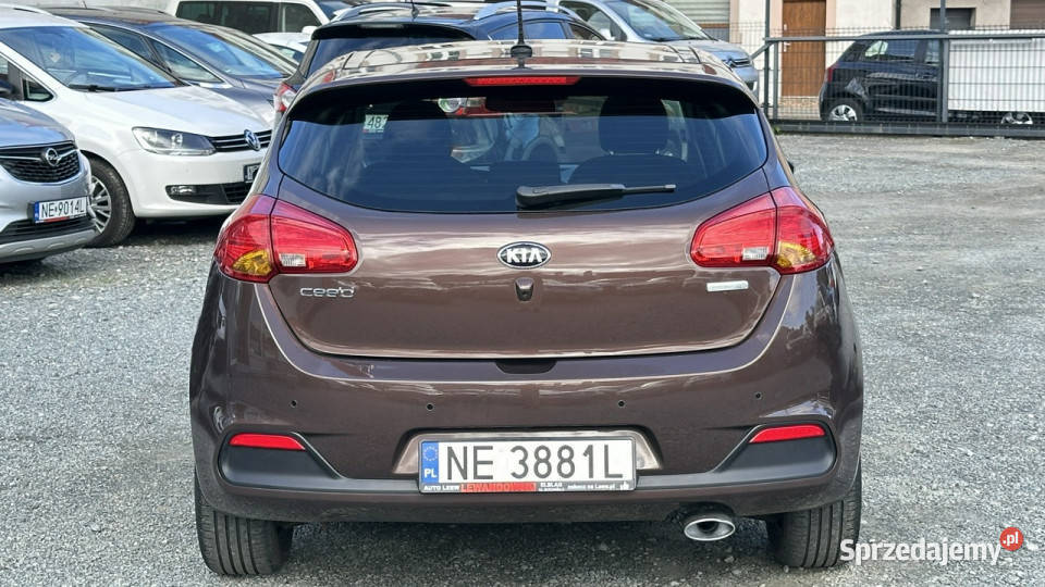Kia Ceed 16 Benzyna Bogato Wyposażony II 2012
