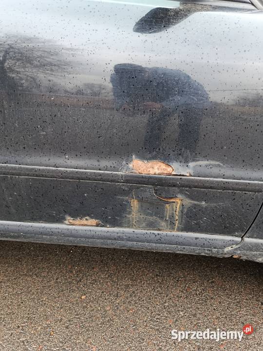 Audi w roweru Biała Podlaska