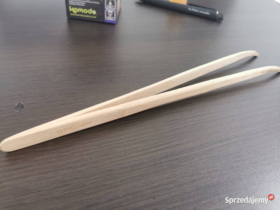 Kameleon jemeński z terrarium i wyposażeniem Jaworzno