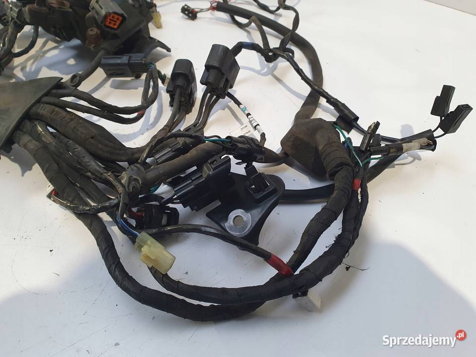INSTALACJA ELKTRYCZNA WIĄZKA Triumph Street Twin Chełm