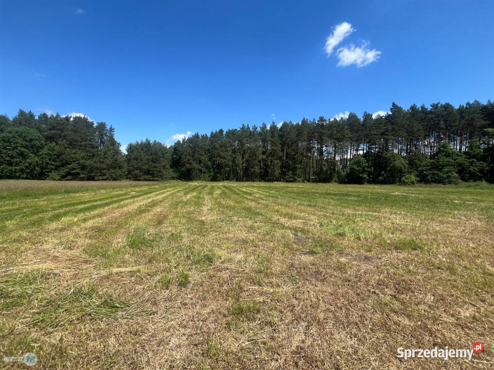 Działka 4300m2 BuskoZdrój Sprzedaż Busko-Zdrój