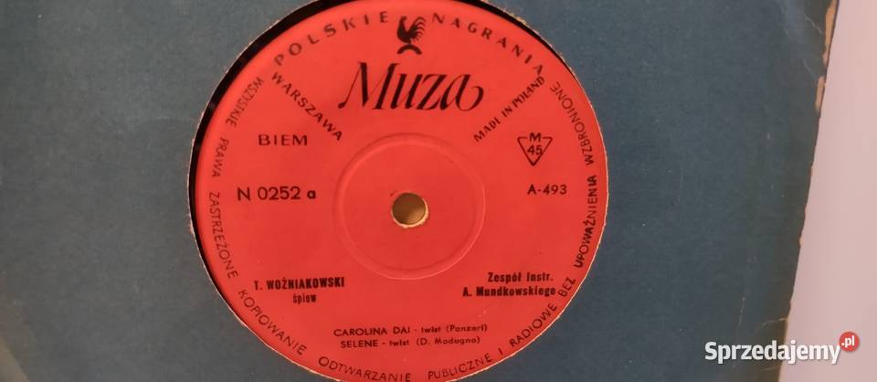 Płyty winyle Single stan 11 kujawsko-pomorskie sprzedam
