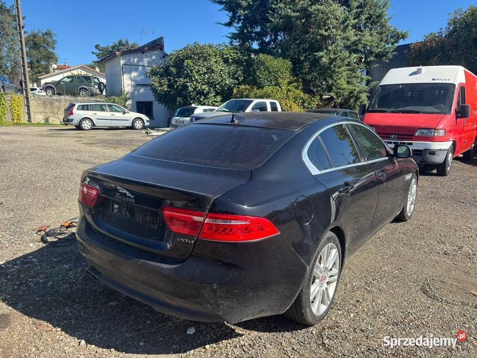 Jaguar XE Płońsk