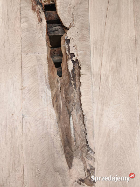 Blat lity dębowy 260 x 100 x 4 260cm