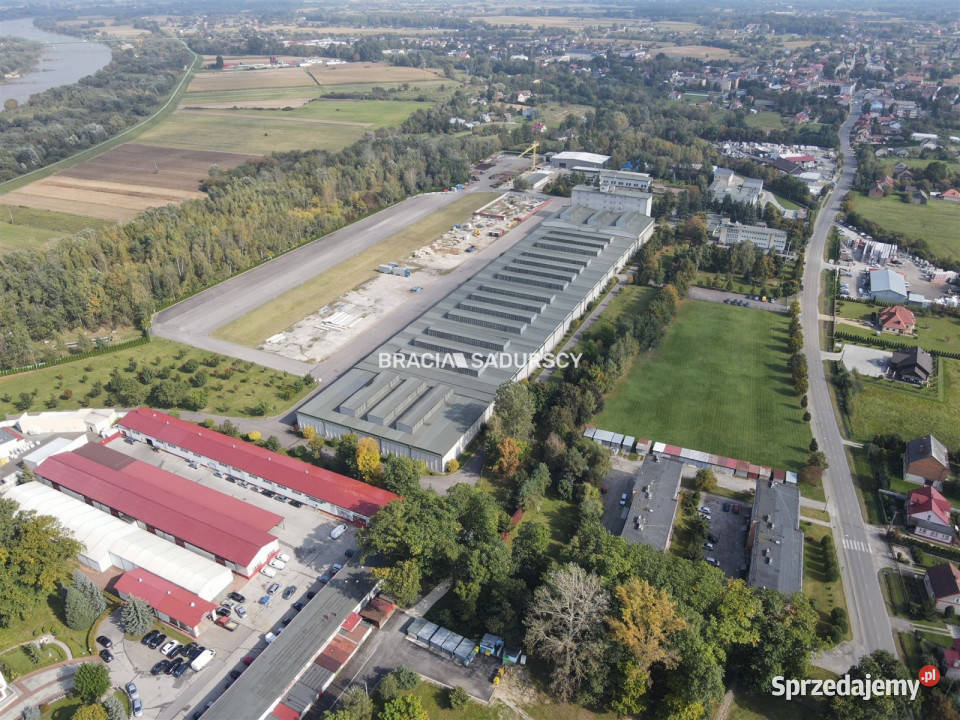 Lokal Szczucin Piłsudskiego 94500m2 dojazd asfaltowy