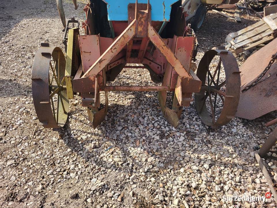 Sadzarka polska solan Wiskitki