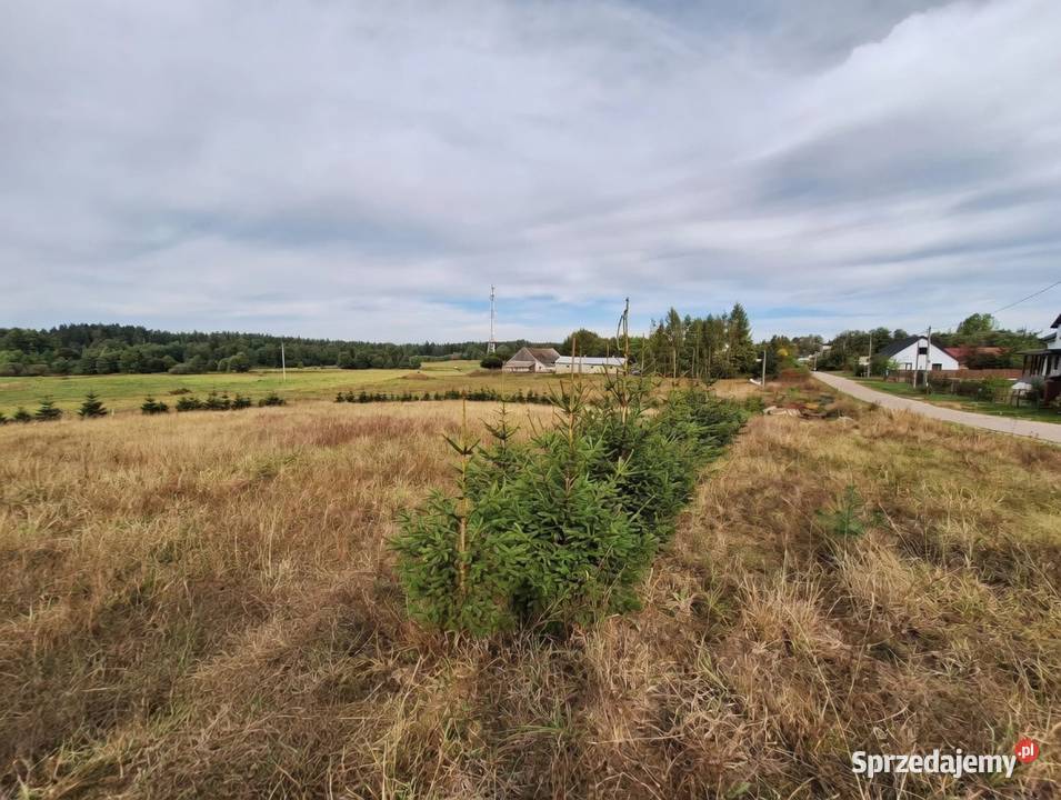 Działka 4000m2 w Szypliszkach asfalt media Szypliszki