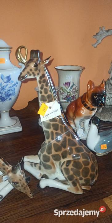 Żyrafa Łomonosow Lomonosov Figurka Słodka pomorskie Gdańsk