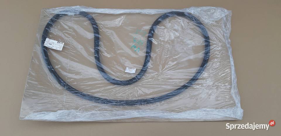 VOLKSWAGEN ID3 VW ID3 USZCZELKA DRZWI TYLNYCH Drzwi Bieleń