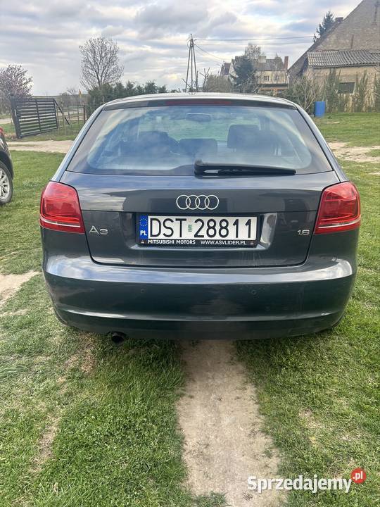 Audi A3 8P 16 MPI 2008r Bierzyn