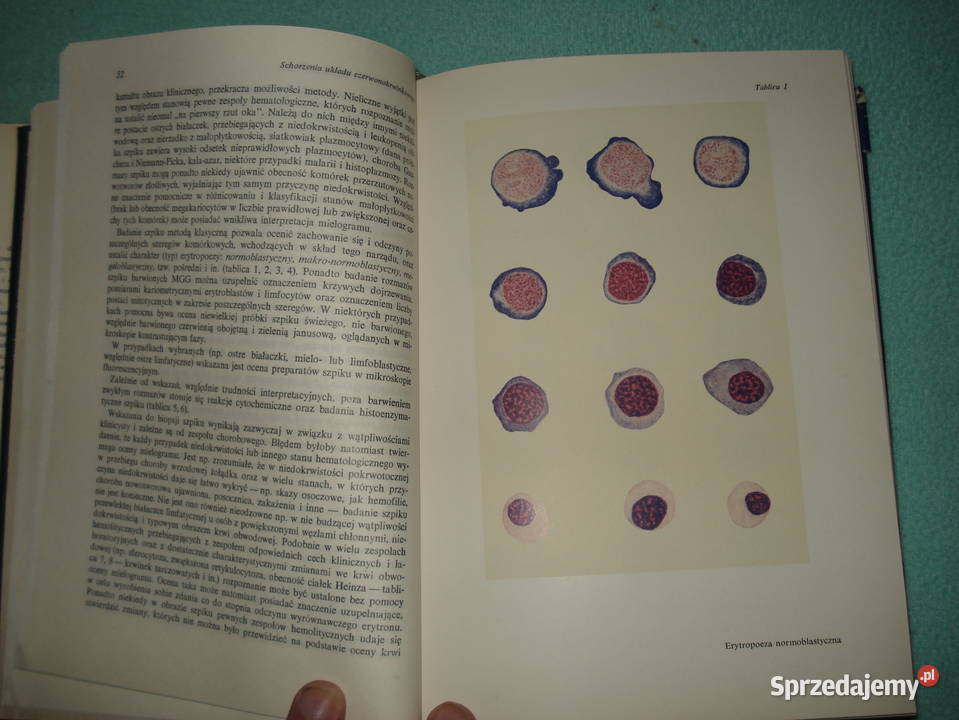 Kliniczna Diagnostyka 1973r mazowieckie Warszawa