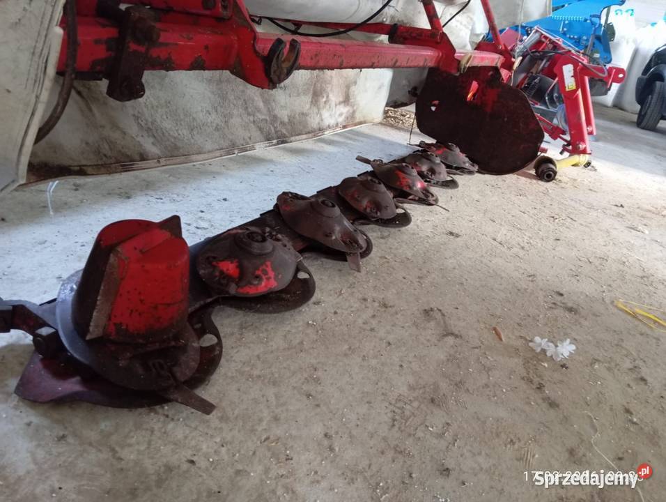 Sprzedam lely splendimo Kulesze Kościelne sprzedam