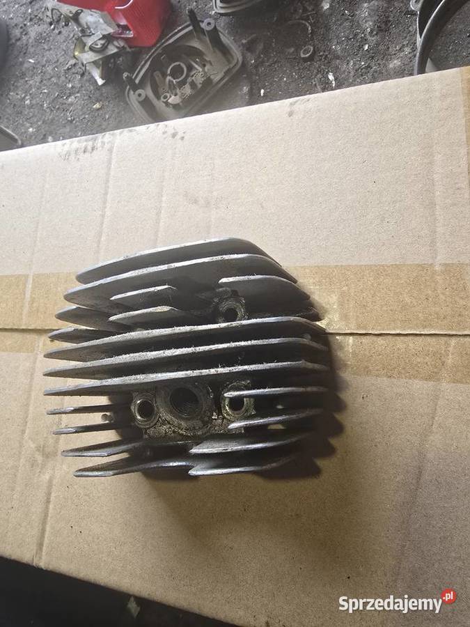 Glowica jawka Gorzów Wielkopolski