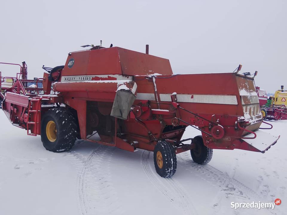 Kombajn zbożowy Massey Ferguson 487 oryginał Massey Ferguson Skaryszew