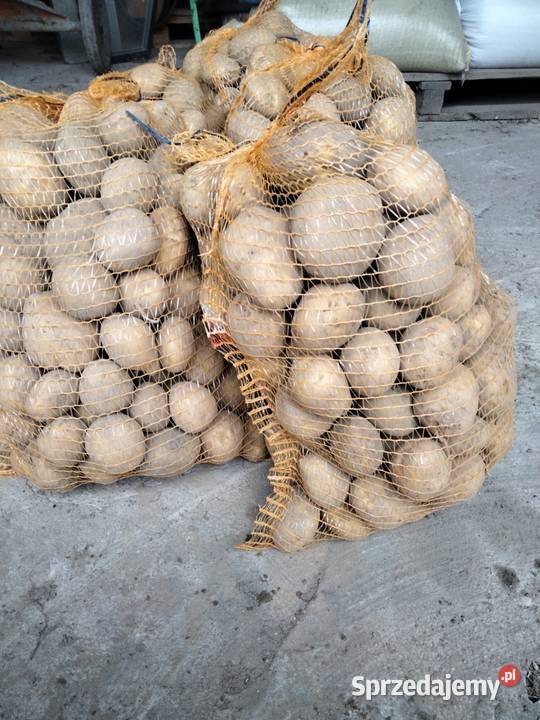 Ziemniaki do jedzenia z ogródka sprzedam