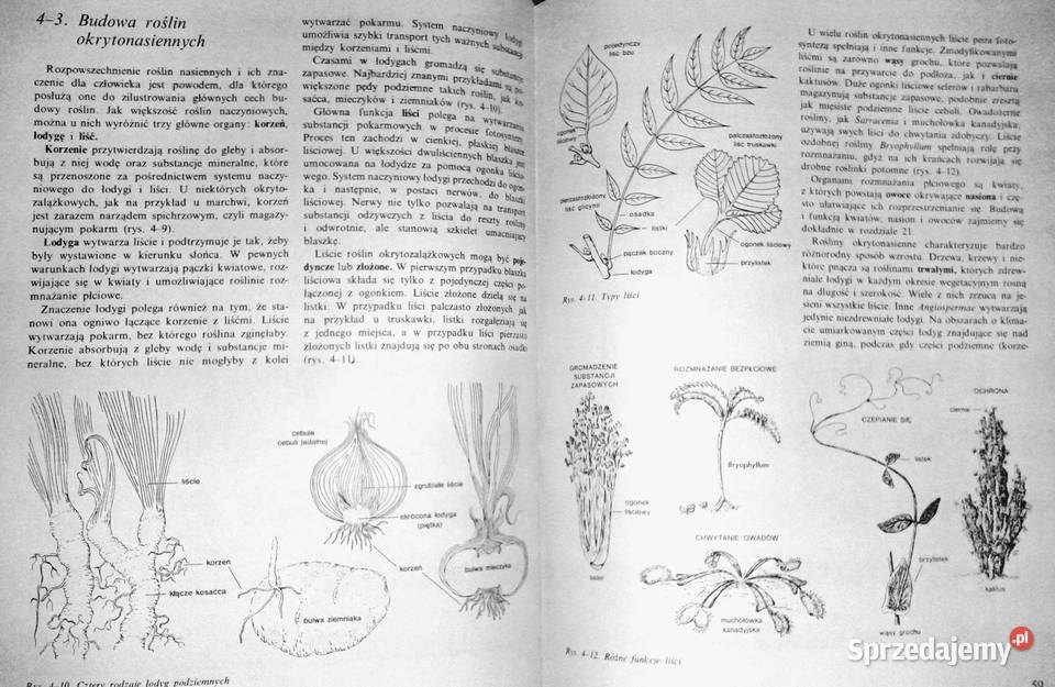 Biologia John W Kimball Rok wydania 1979