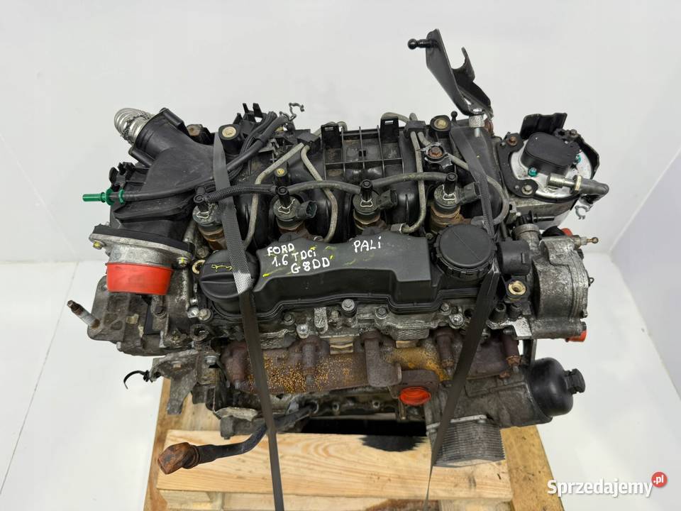 SILNIK KOMPLETNY G8DD Ford Focus II MK2 C C 16 lubelskie