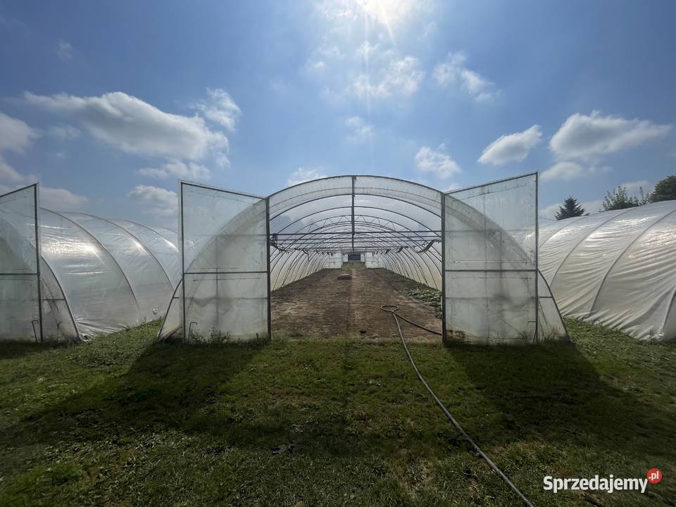 Tunel foliowy WZMACNIANY wymiary 30m x 76m x 3m sprzedam