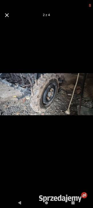 Siewnik poznaniak Kłodzko