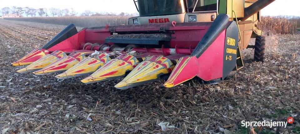BISO Cornpower 675 2010r Pozostałe wielkopolskie Wilkowo