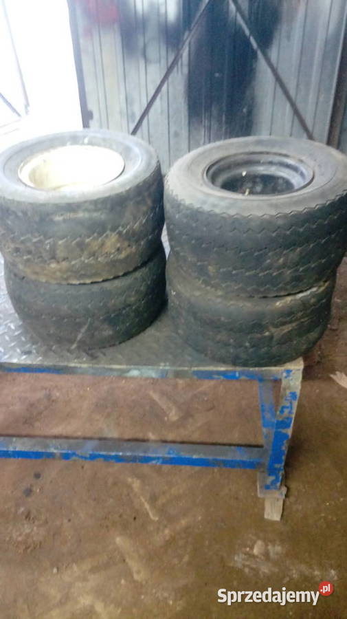 kola melex podkarpackie