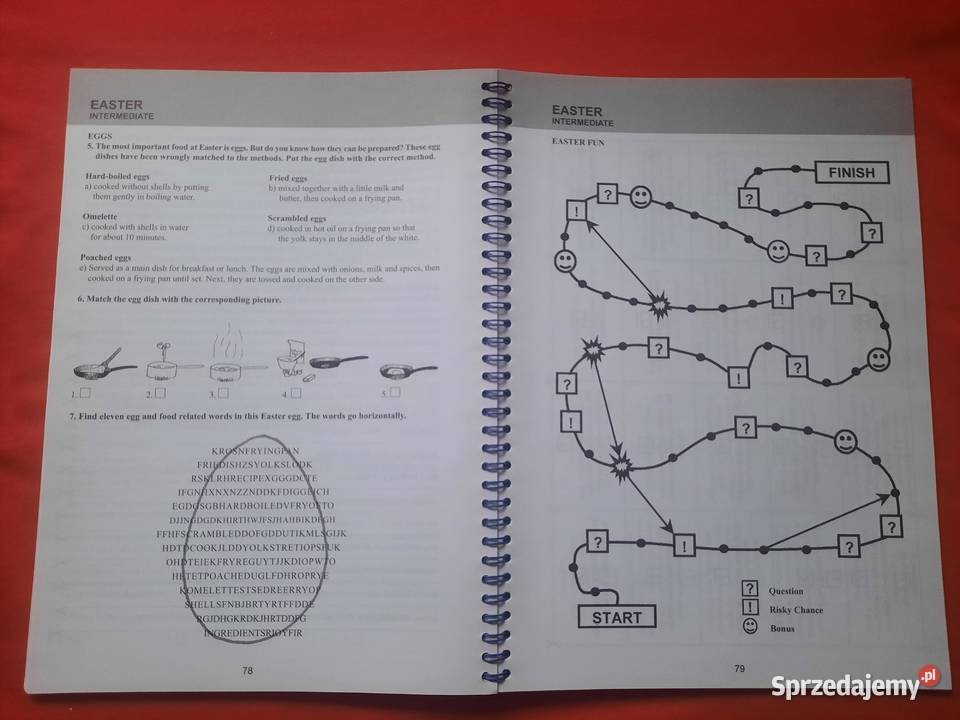 Książka The Festive Year Włocławek