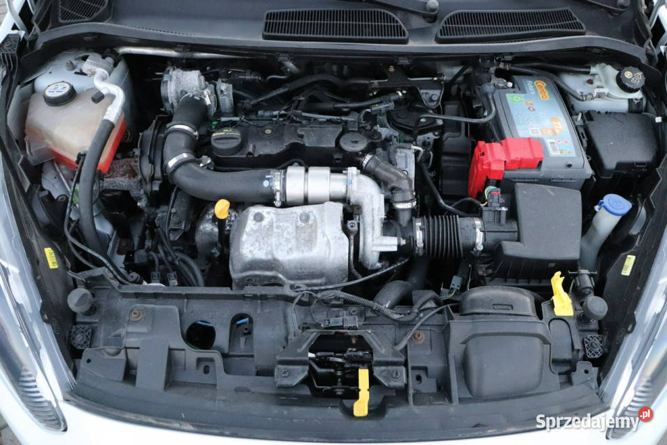 Ford Fiesta krajowy 1właściciel serwisowanyVAN serwisowany w ASO Opole