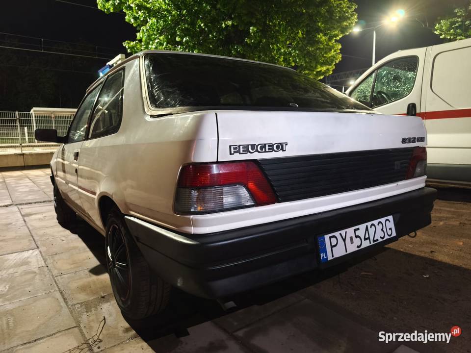 Peugeot 309 auto na rajd koguta