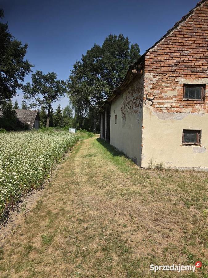 Buczków gm Rzezawa działka 115 ar z domem i budowlana