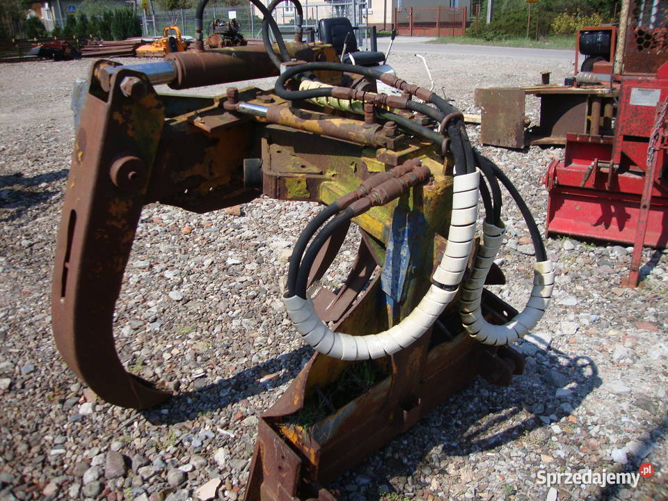 kleszcze zrywkowe Czaplinek