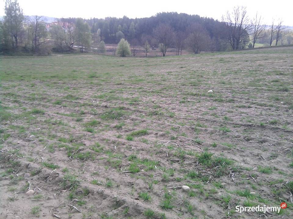 Kaszuby działki budowlane jezioremSierakowice 4 pomorskie Łyśniewo Sierakowickie