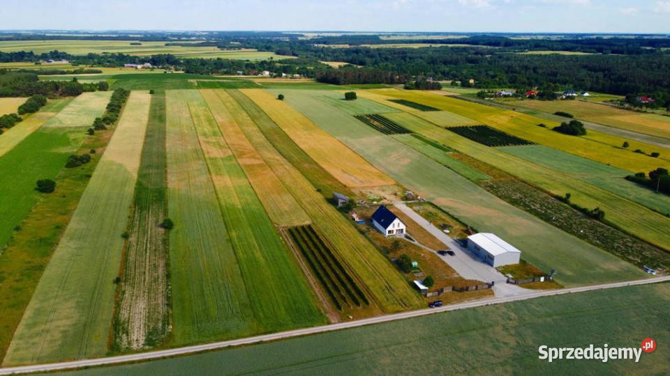 Borów Kol Duża działka z możliwością uzyskania Sprzedaż Borów-Kolonia