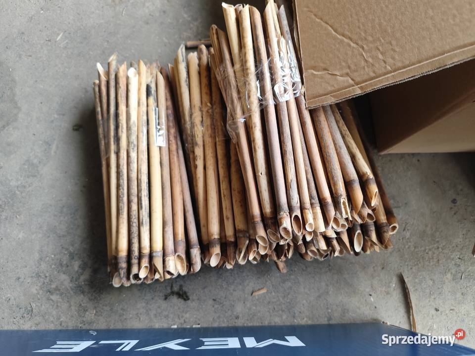 Rurki murarki trzcina do murarek domki pszczół sprzedam