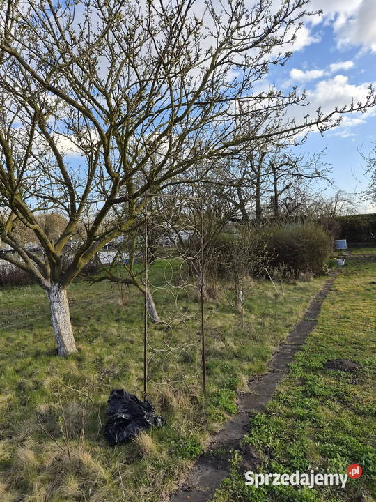 OGRÓDEK DZIAŁKOWY NA KLECINIE ROD PRZYJAŹŃ dolnośląskie Wrocław