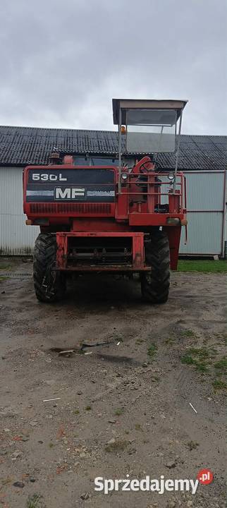 Sprzedam Bizon rekord Z058 i Massey Ferguson Zakrzew