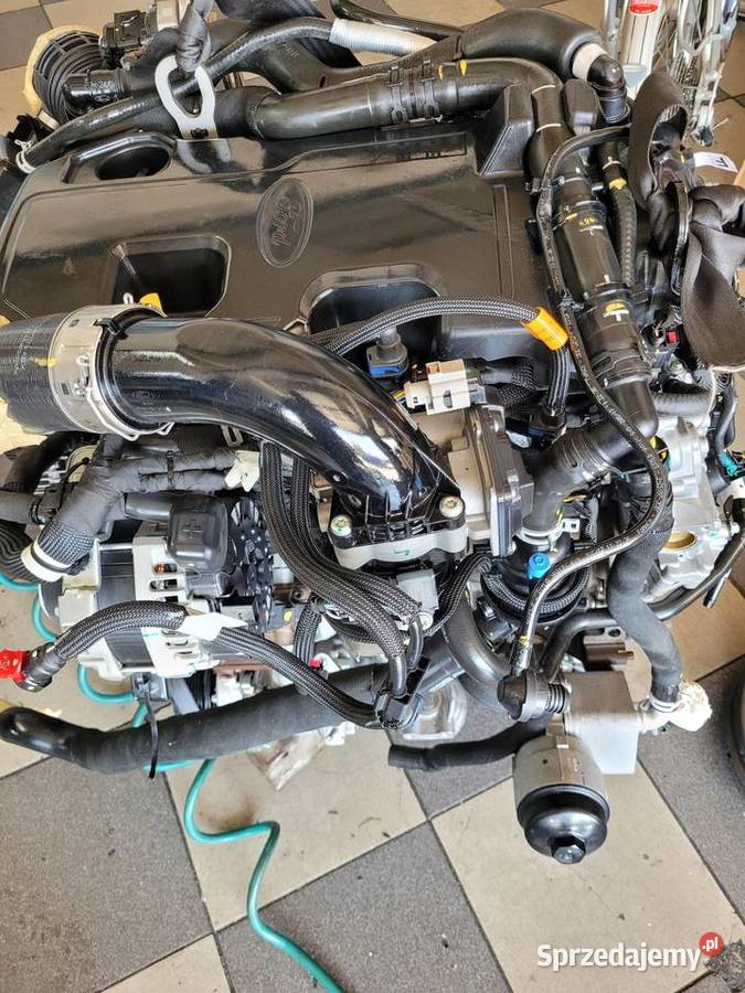 Profesjonalny Serwis Ford Transit Remonty Radom
