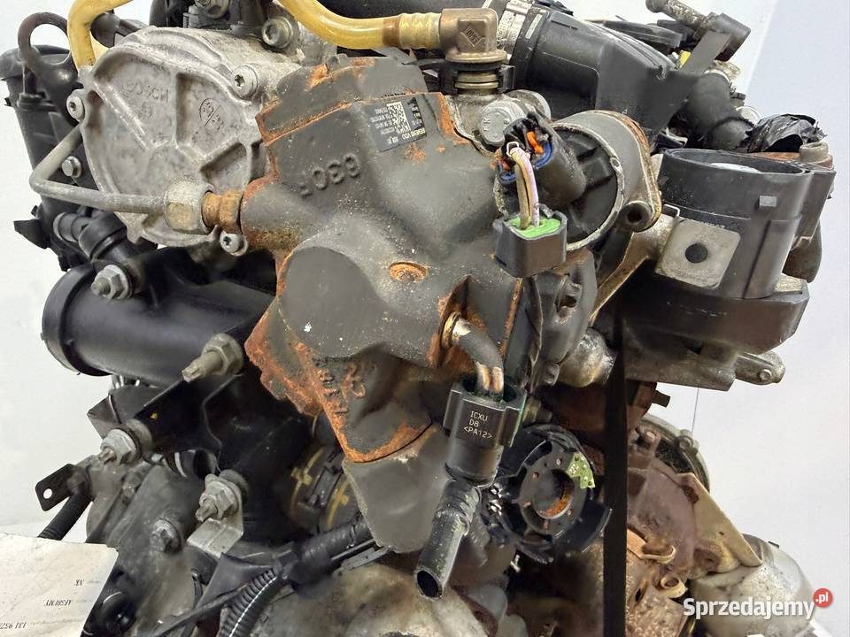 SILNIK G6DD Ford C C Focus MK2 20 TDCI 136 lubelskie Chełm